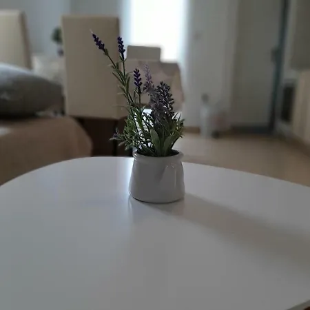 Apartamento Majetic Gornji Karin